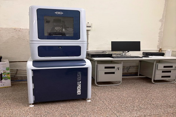 Surface Area Measurement Facility (BET)